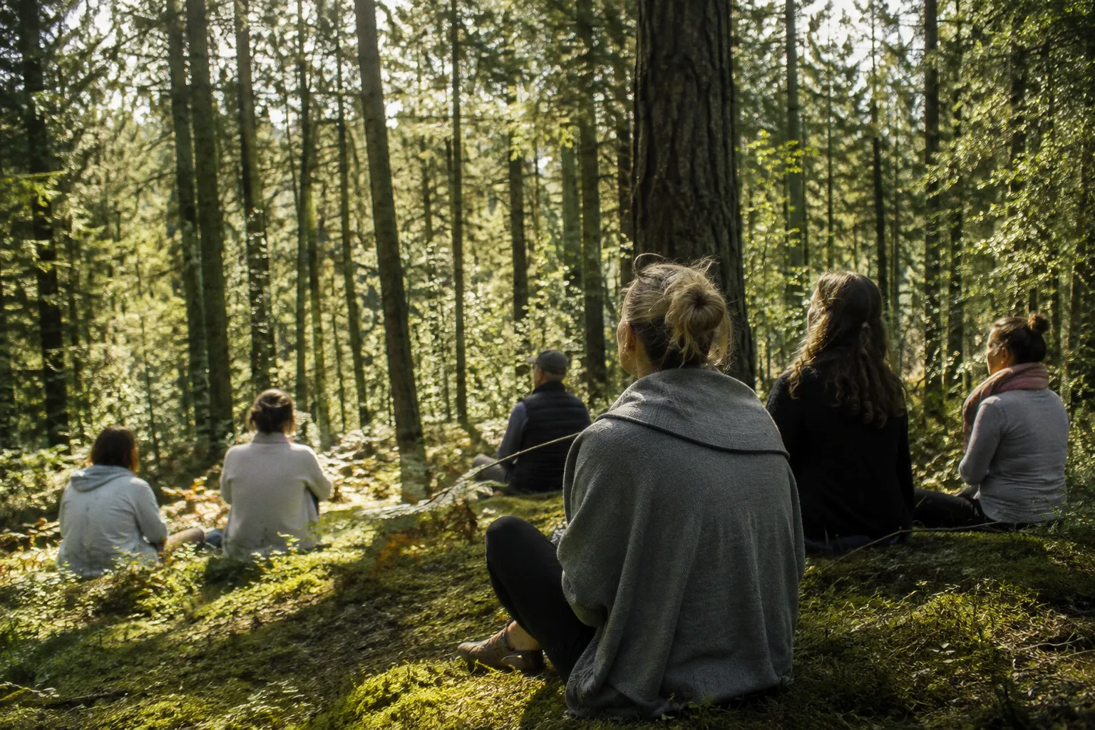 Bain de forêt : comment la sylvothérapie régénère votre bien-être au quotidien
