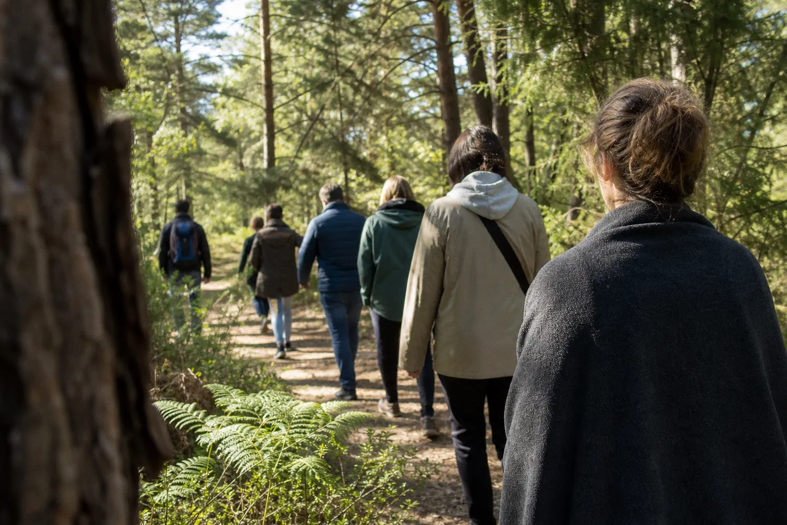 Bain de forêt et santé mentale : pourquoi la sylvothérapie change de visage