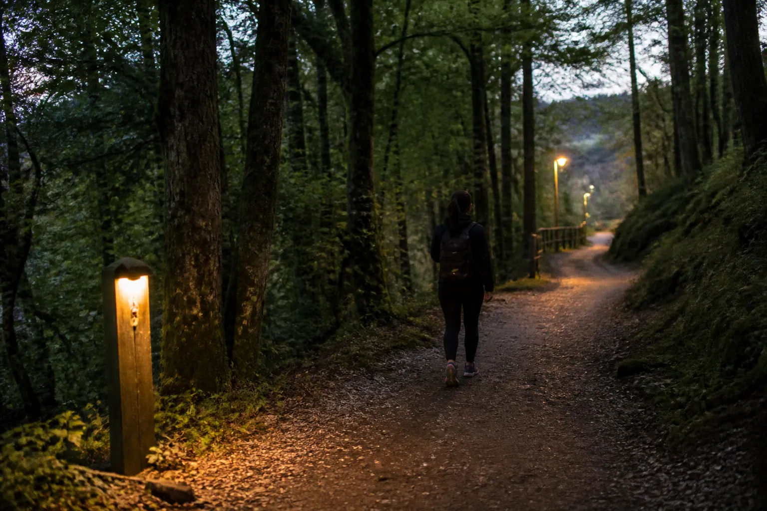 Bien-être mental : les mécanismes cérébraux insoupçonnés d'une balade en forêt