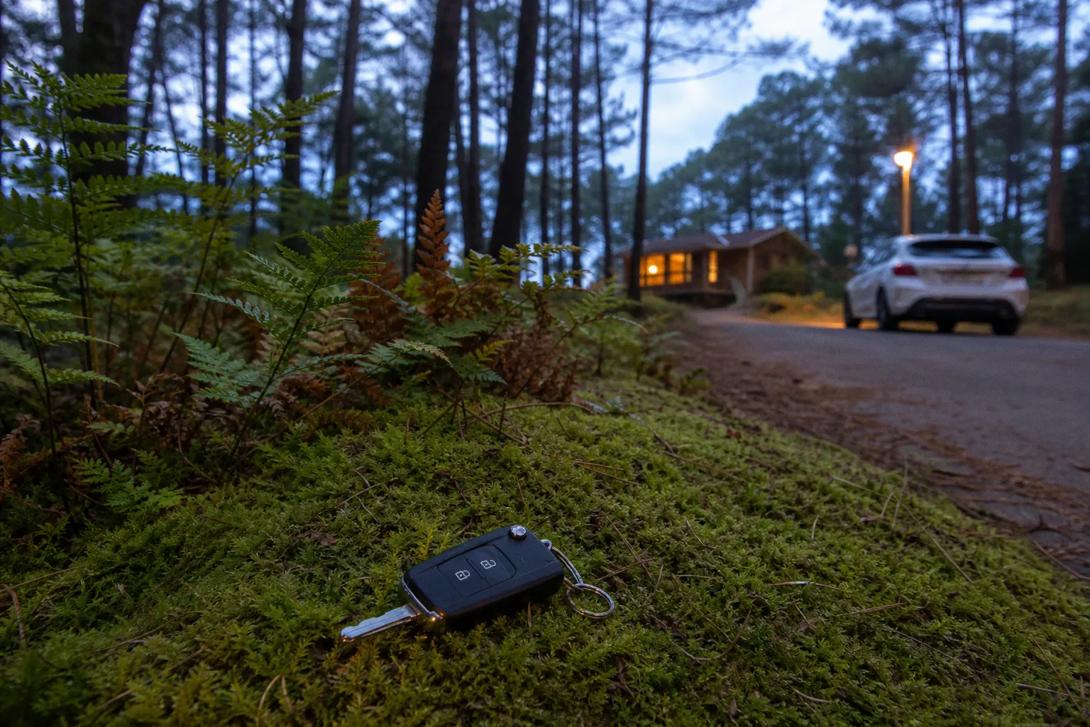 Franchise de location de voiture : comment bien la choisir ?