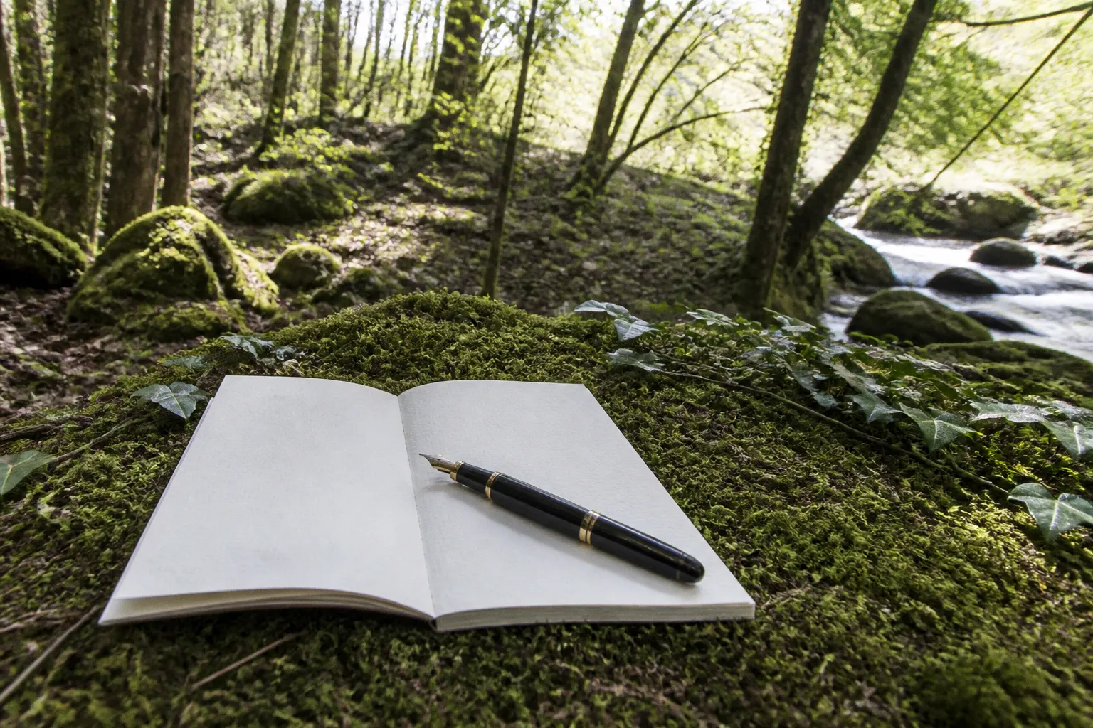 Journaling thérapeutique : est-ce vraiment efficace contre le stress ?