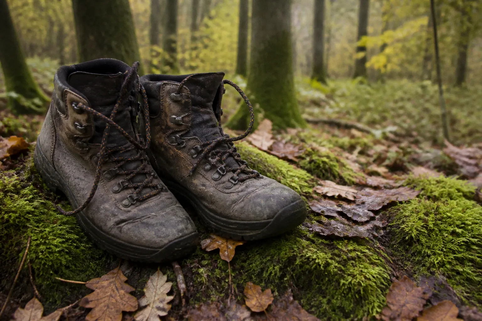 Marche consciente en forêt : protocole pratique pour débutants