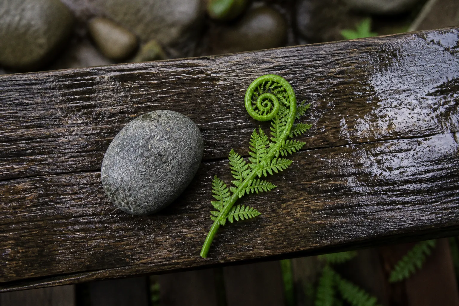 Méditation transcendantale ou pleine conscience : quel choix ?