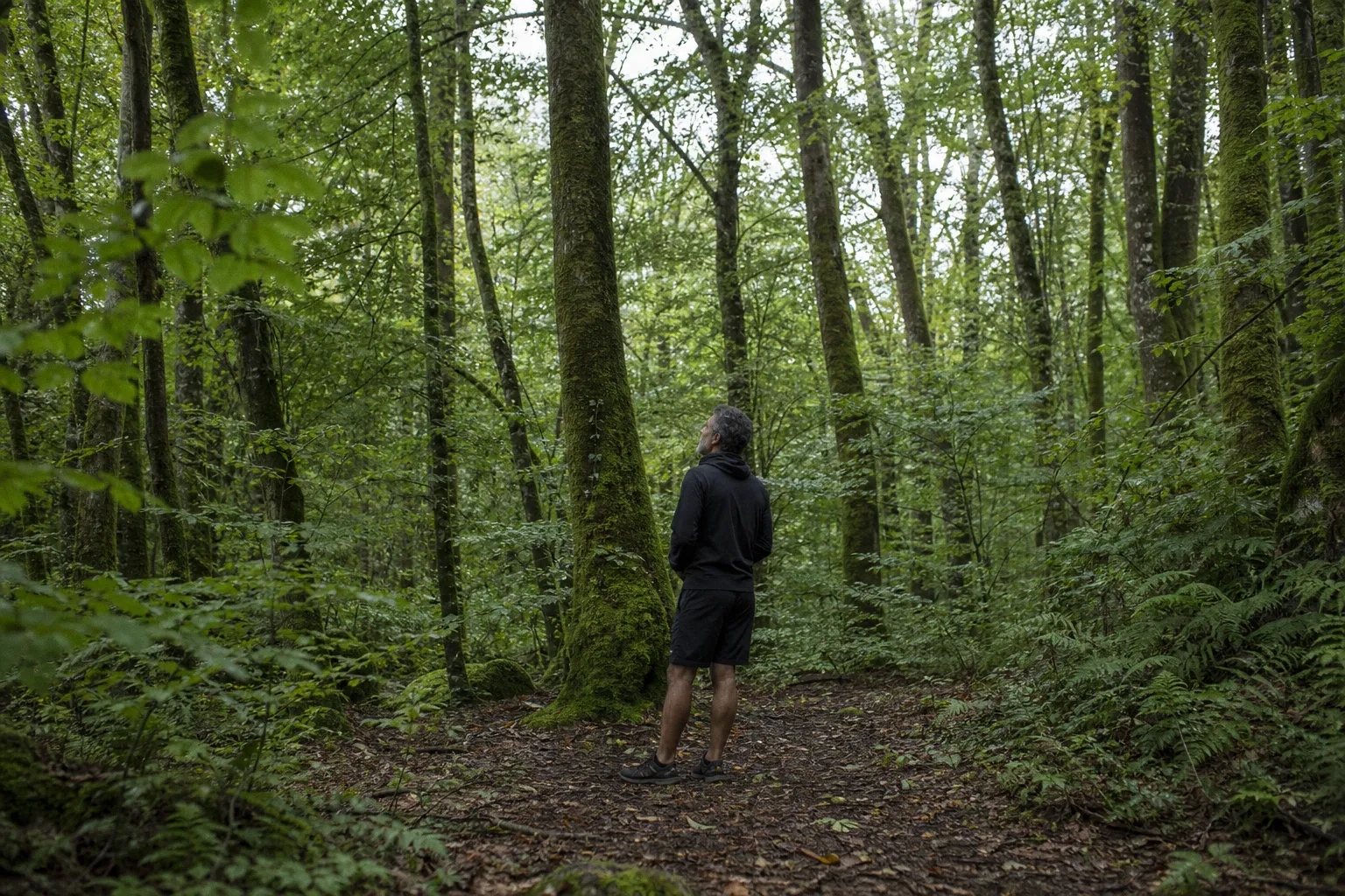 Milind Soman loves this Japanese practice for reconnecting with nature: What is ‘shinrin-yoku’ or forest b