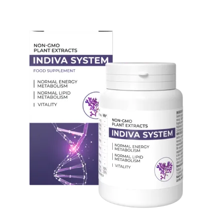 INDIVA SYSTEM