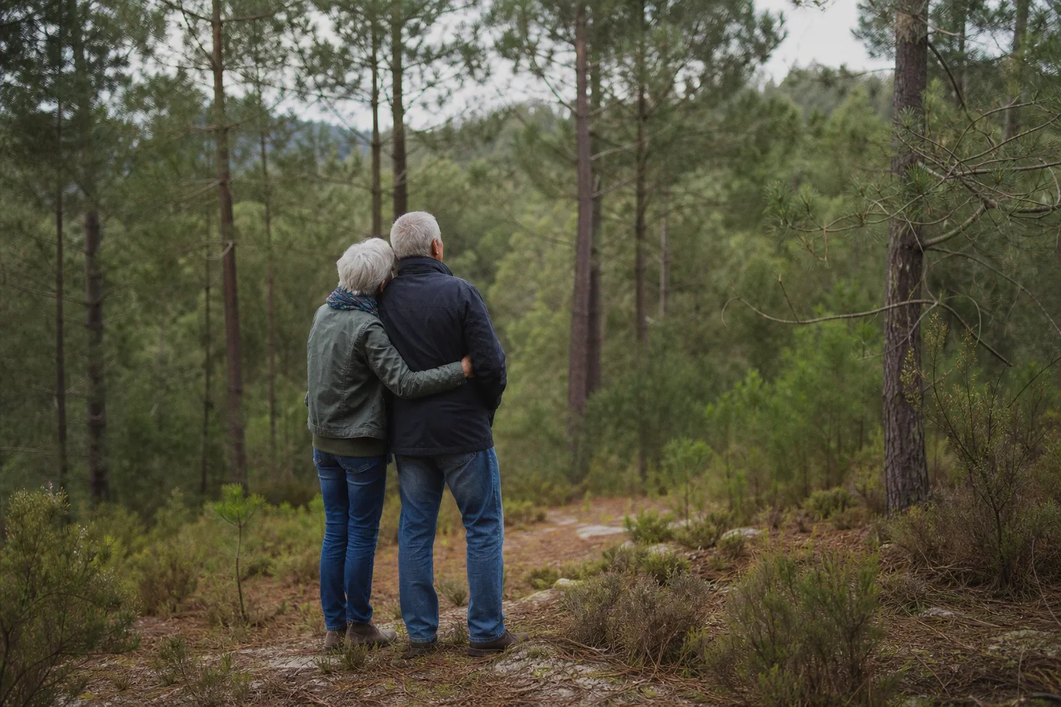 Pourquoi la satisfaction de vie atteint souvent son apogée après 50 ans