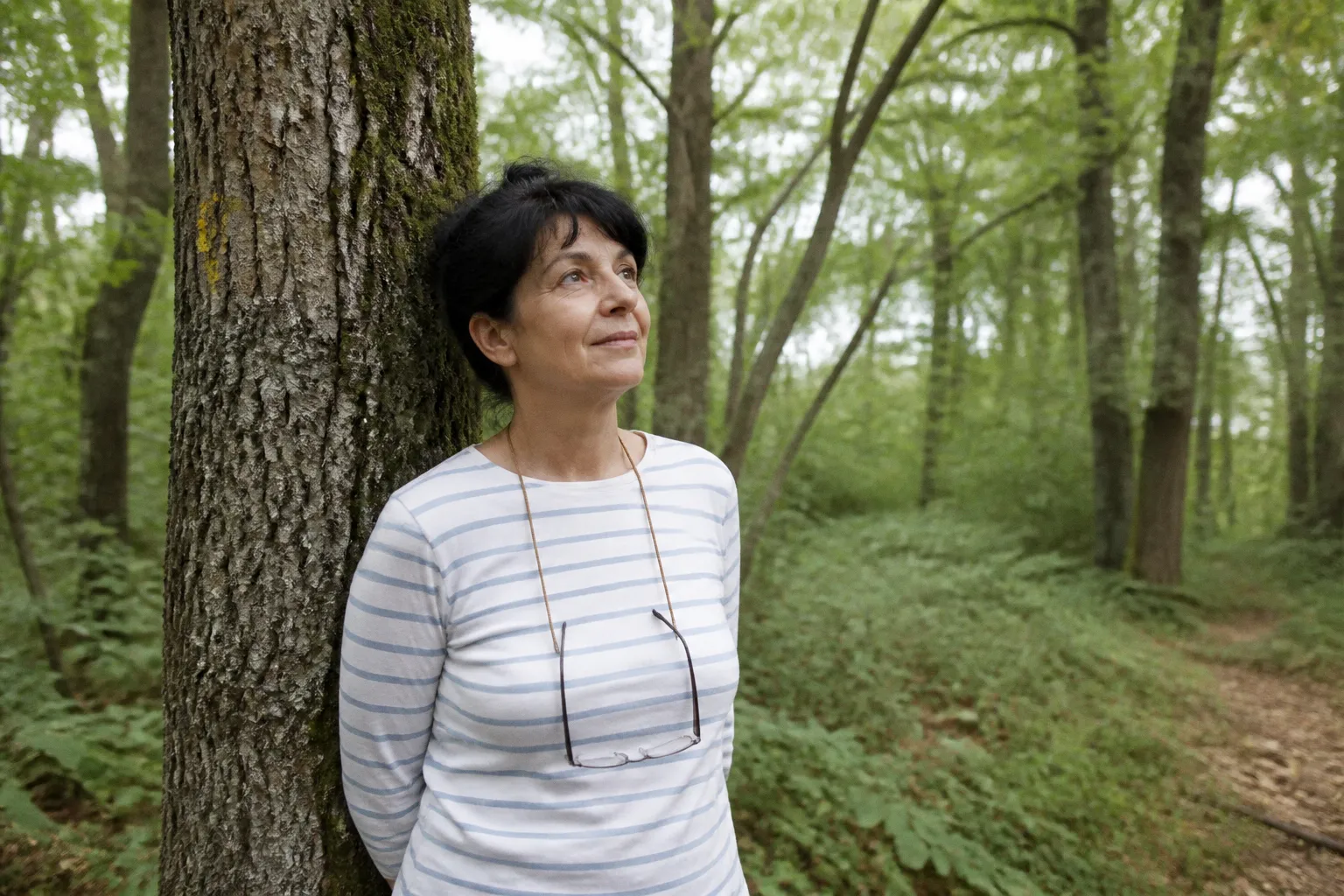 Pourquoi la sylvothérapie est le remède naturel contre l'épuisement mental