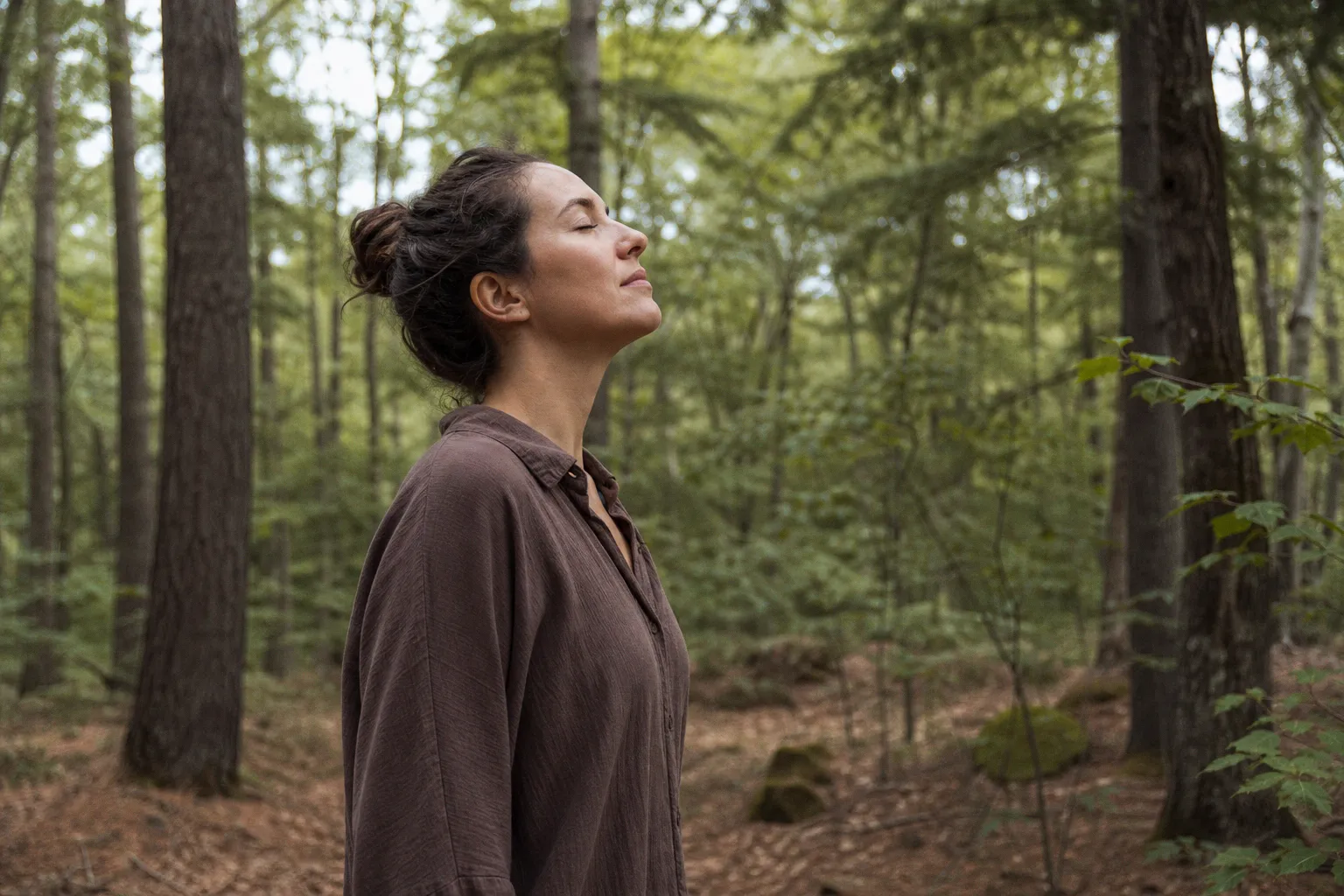 Shinrin Yoku : pourquoi le bain de forêt est l'antidote idéal au stress numérique