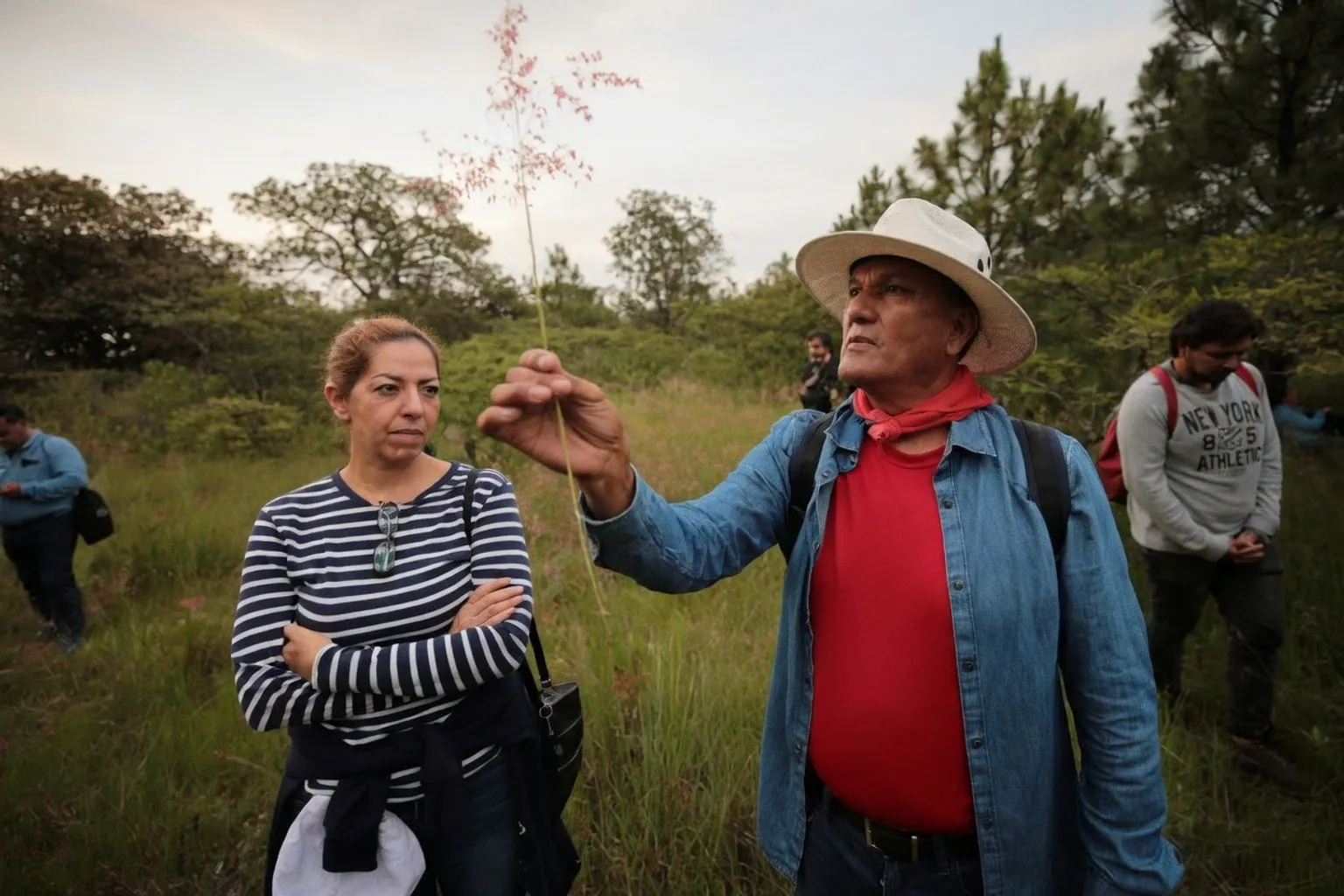 Sylvothérapie : l'Université de Guadalajara lance son diplôme dédié aux bains de forêt