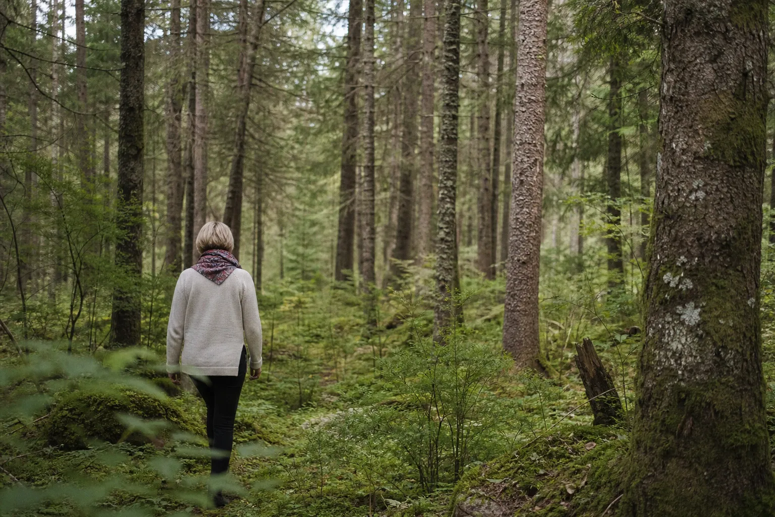 Sylvothérapie : pourquoi la science nuance les bienfaits des bains de forêt