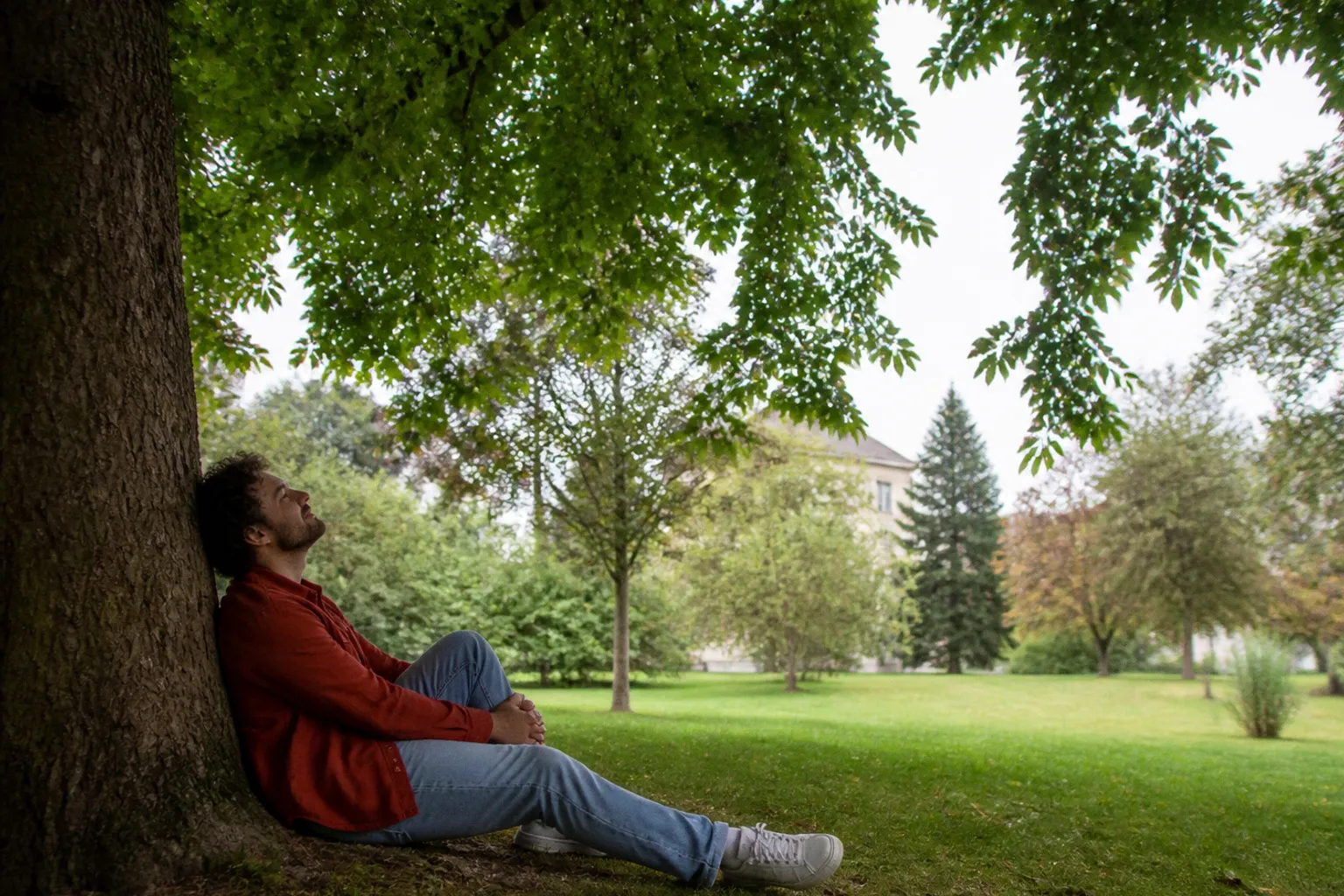 Sylvothérapie urbaine : le Shinrin-yoku pour restaurer votre immunité